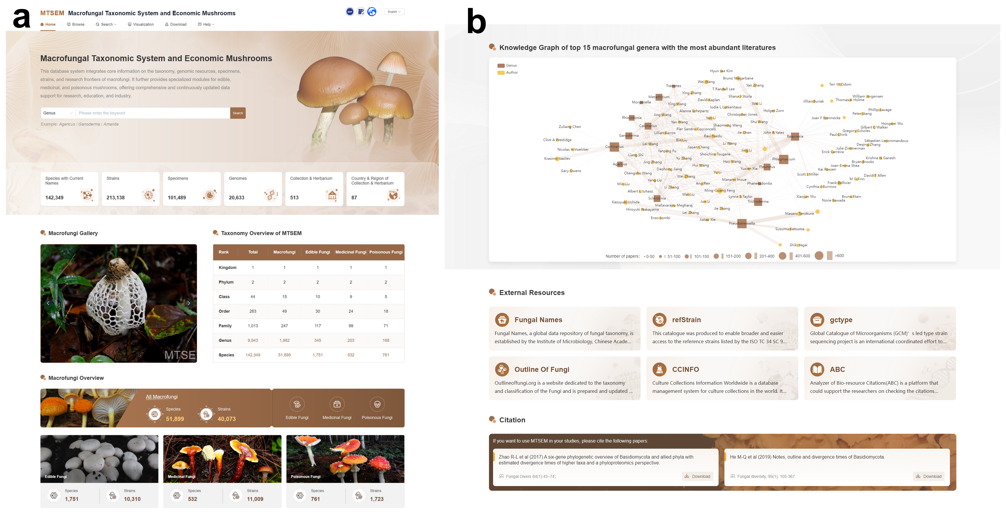 A database and outline of macrofungi with comparative genomic insights